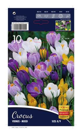 Минзухари Large Flowering Mix